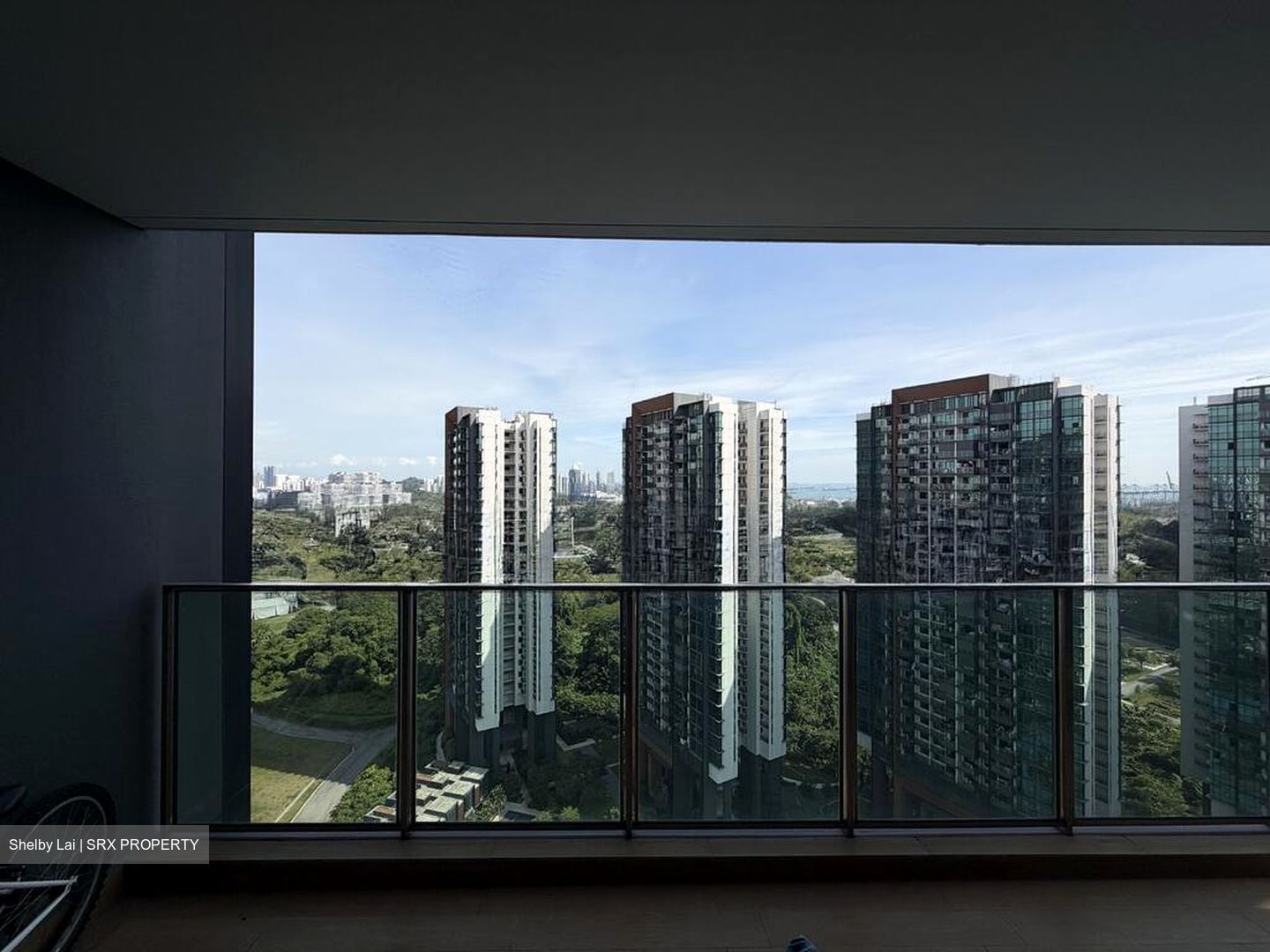 Normanton Park (D5), Apartment #495796421